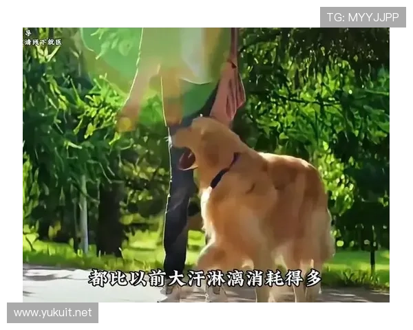 蒋圣龙家的狗都比你自律